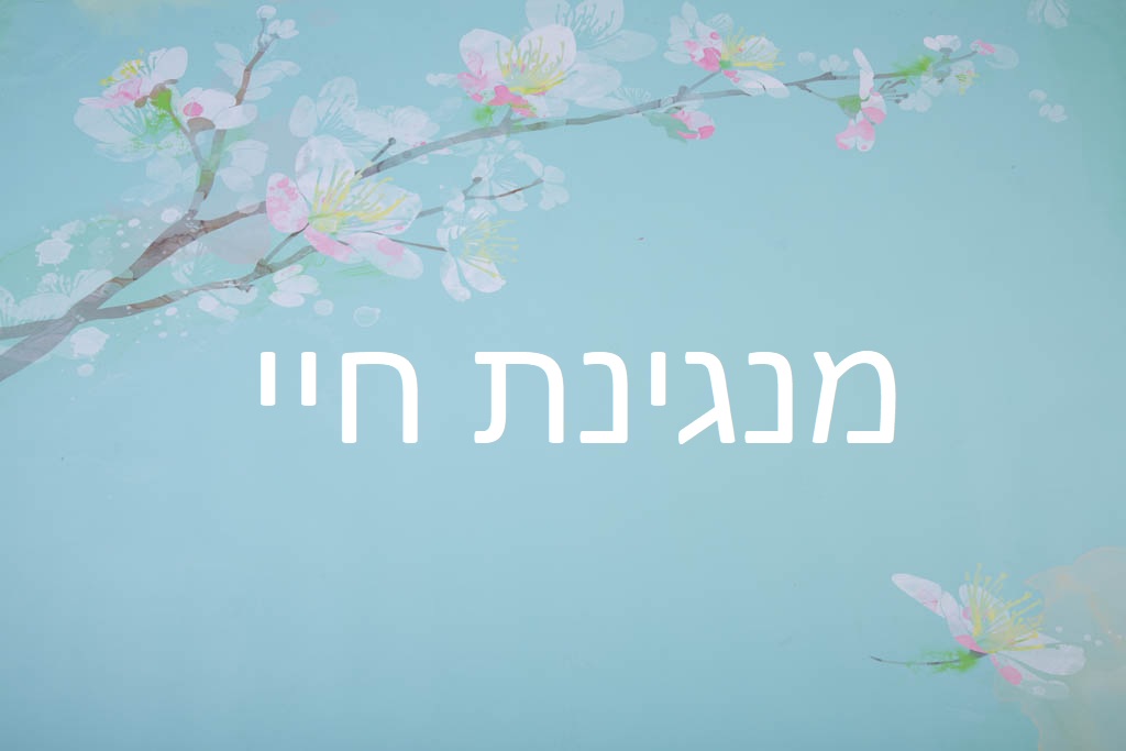 מנגינת חיי